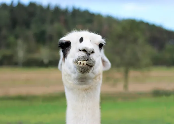 Resort Hulin Selčan