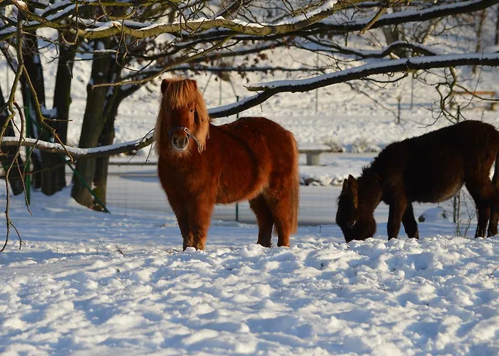 Hulin Resort Selčan
